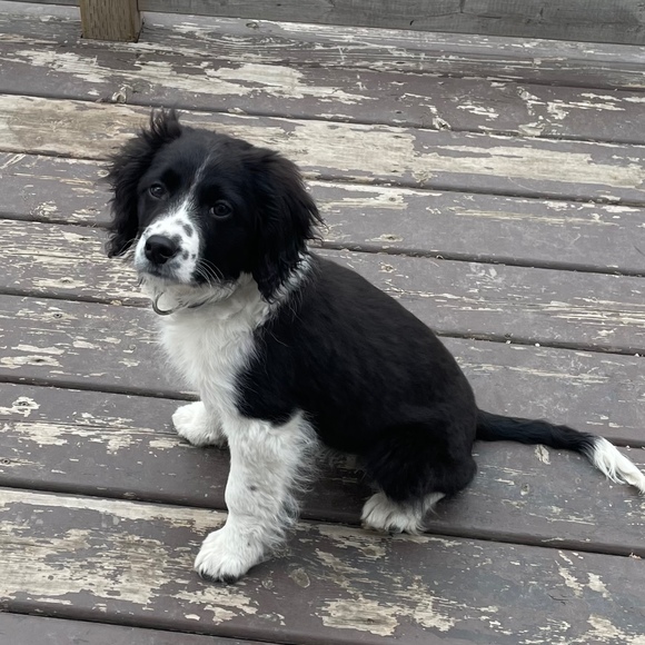 Meet your Posher, Kristen - Picture 1 of 1